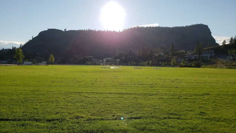 Dale Meadows Sports Field