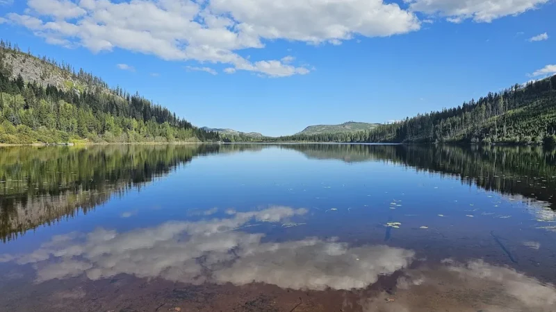 Chute Lake Recreation Site