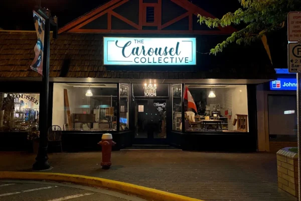 The Carousel Collective