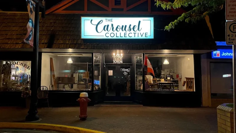 The Carousel Collective