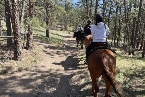 Wildhorse Mountain Ranch