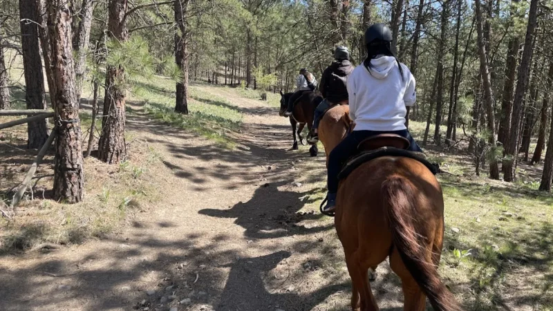 Wildhorse Mountain Ranch