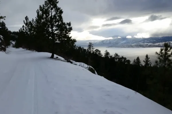 Front Bench Bed and Breakfast