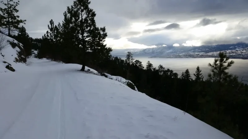 Front Bench Bed and Breakfast