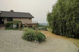 Sutherland Blueberry Bed and Breakfast