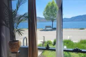 PeachVibes Esthetics and Wellness