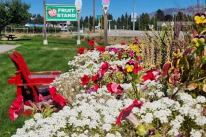 Big Apple Fruit Stand with Organic Orchard