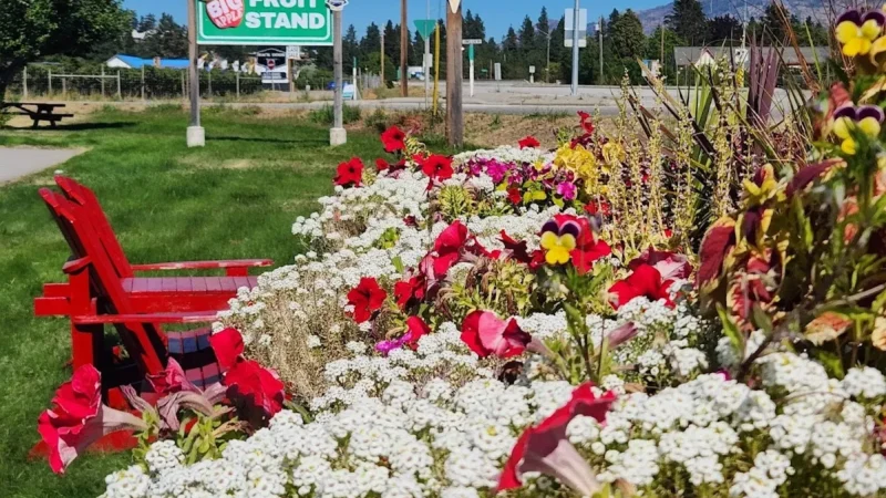 Big Apple Fruit Stand with Organic Orchard