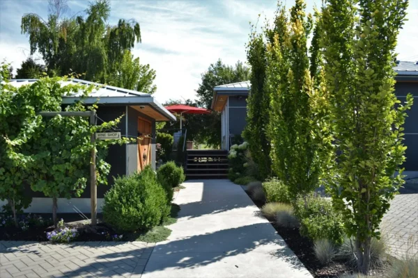 8th Generation Vineyard