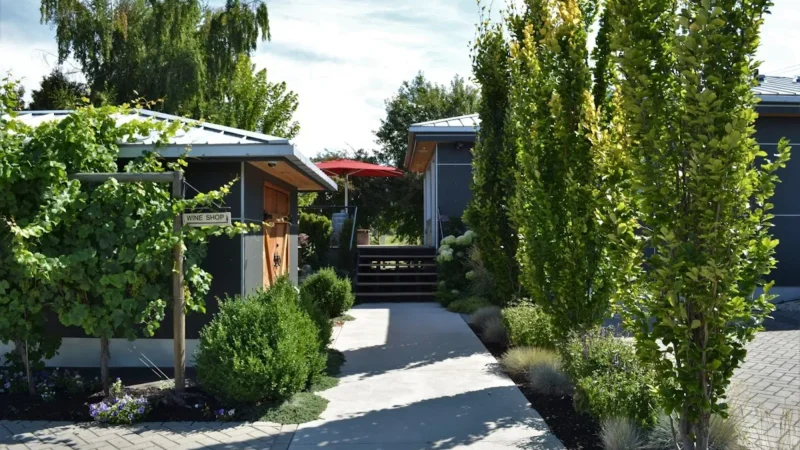 8th Generation Vineyard