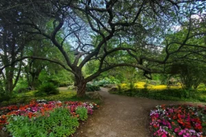 Summerland Ornamental Gardens