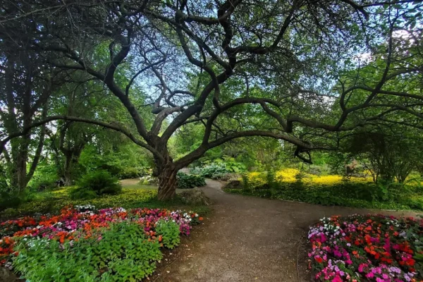 Summerland Ornamental Gardens