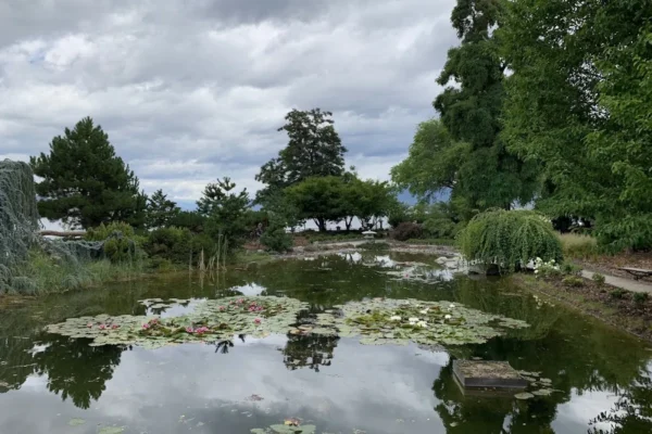 Ikeda Japanese Garden