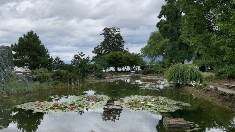 Ikeda Japanese Garden