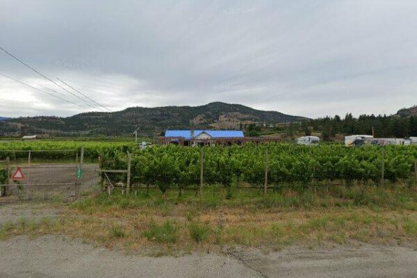 Back Door Winery