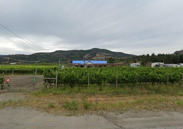 Back Door Winery